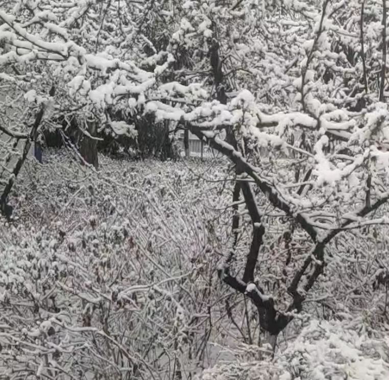 河南洛阳老君山的壮观雪景