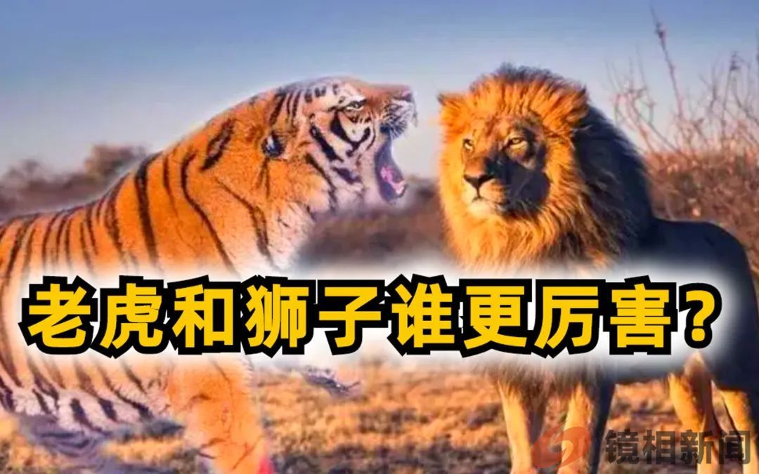 带枪的终究比空喊的厉害!(图1) 微信图片_20230709212652.jpg