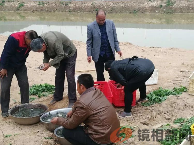 那年,我被羁押在看守所,有一天半夜时,被睡在旁边的死刑犯打伤,脸上缝了六针!(图7) 微信图片_20240224232207.jpg