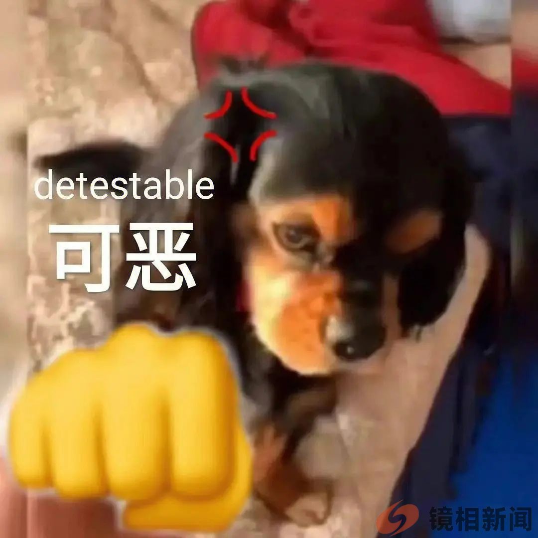 广州撞桥驾船者,枪毙十次也不为过!(图13) 微信图片_20240225121429.jpg