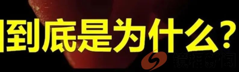 广州某桥一撞即垮,武汉大桥百撞不动,难道仅仅是有趣“八问”?(图9) 微信图片_20240226091940.jpg