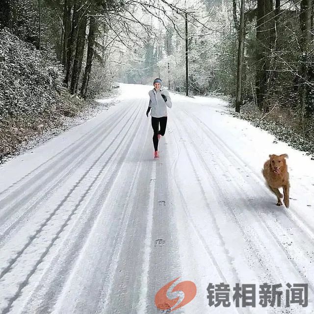 <strong>新疆暴雪系列——3</strong>