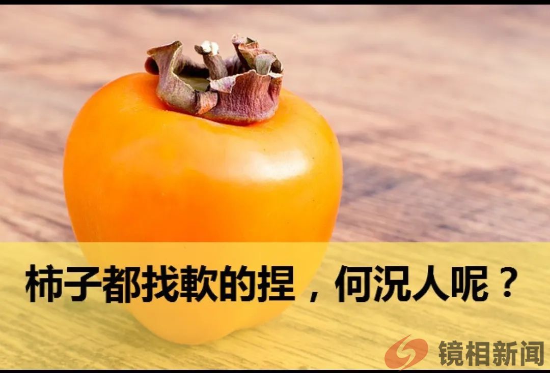 女企业家讨债反被抓!六盘水当地政府:难不成吃柿子专挑软的捏?(图9) 微信图片_20240301122824.jpg