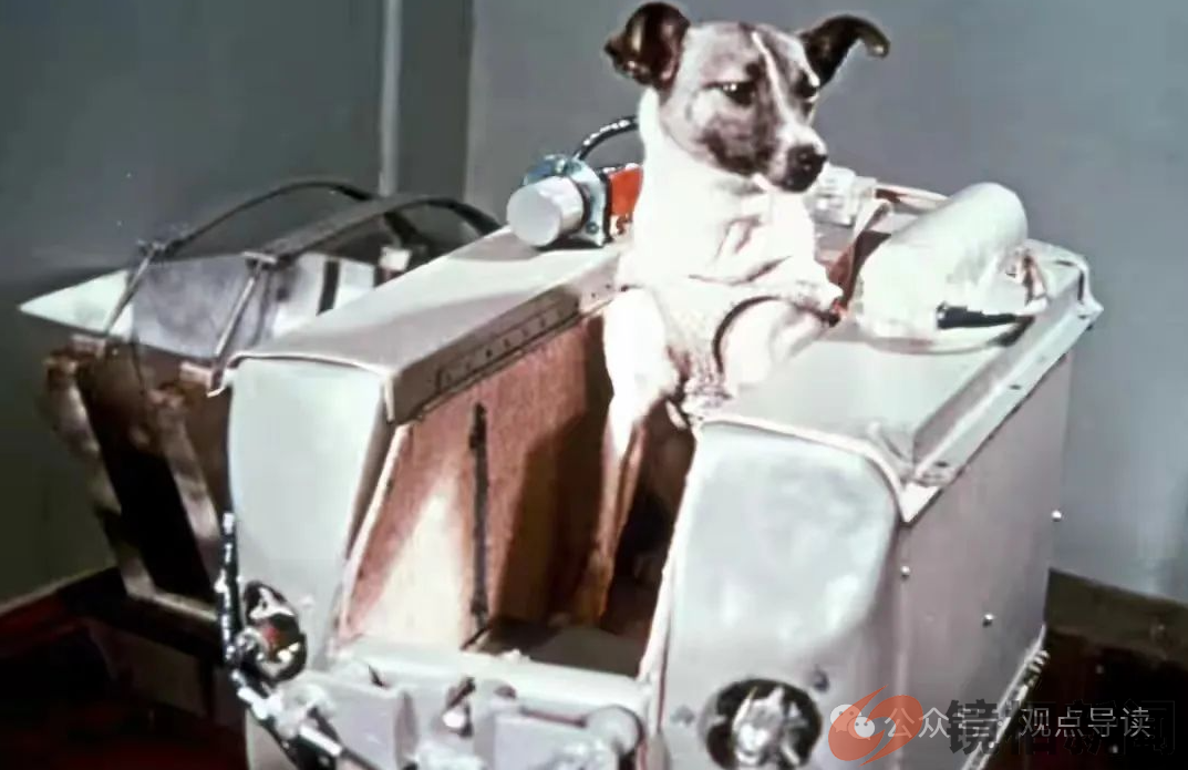 第一只进入太空的狗,在宇宙飘了63年,人类为何要毒死它(图2) 微信图片_20240310213857.png