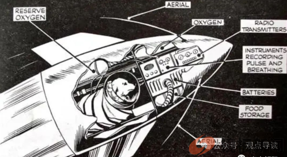 第一只进入太空的狗,在宇宙飘了63年,人类为何要毒死它(图5) 微信图片_20240310213942.png
