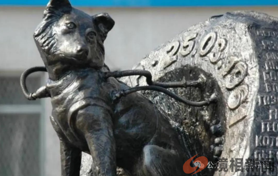 第一只进入太空的狗,在宇宙飘了63年,人类为何要毒死它(图6) 微信图片_20240310213950.png