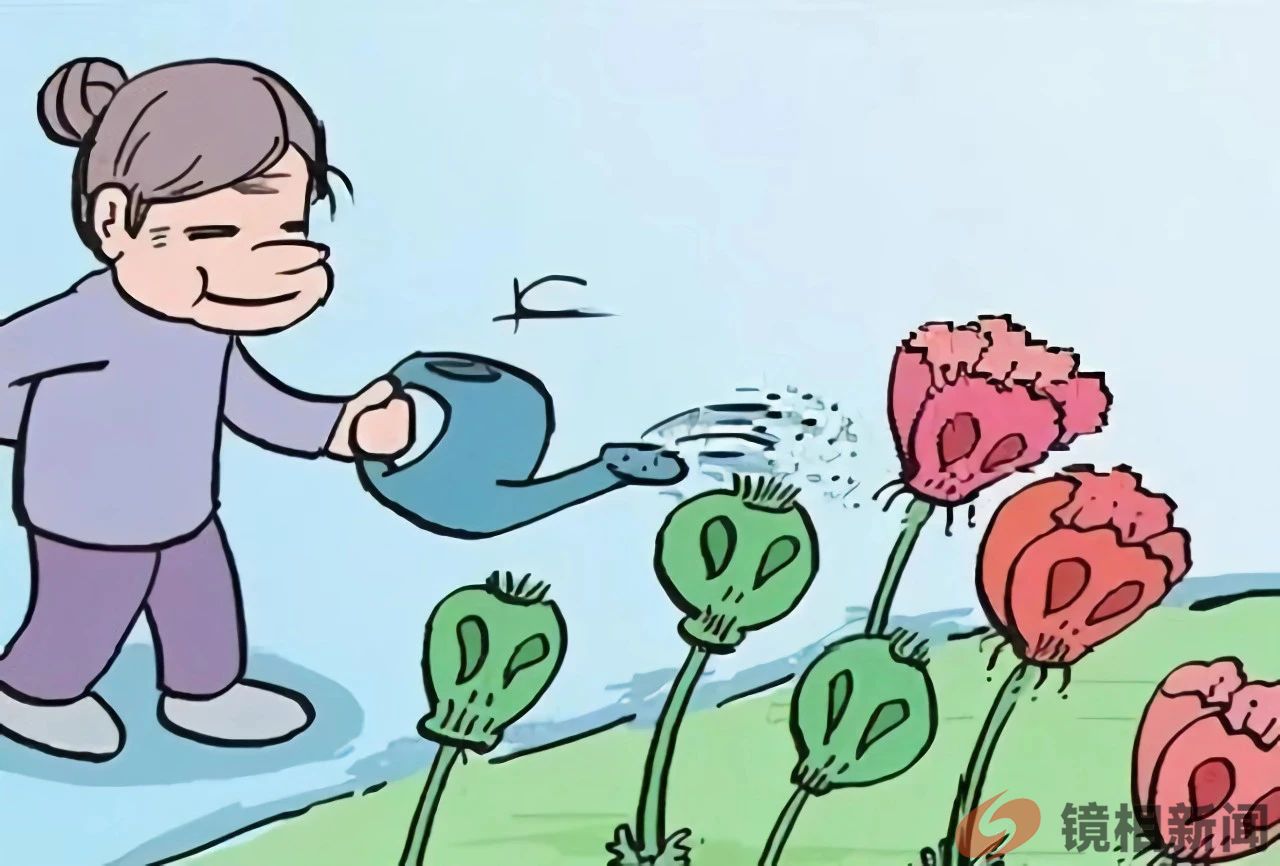 【西检说法】罂粟有毒 种植违法(图2) 微信图片_20240313135711.jpg