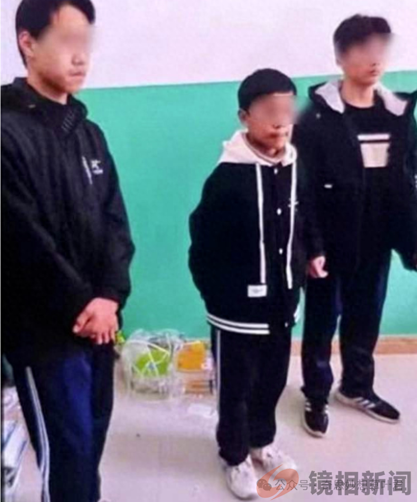 河北3名初中生杀人动机曝光,成了900 多万个家庭的“定时炸弹”(图2) 微信图片_20240317084619.png