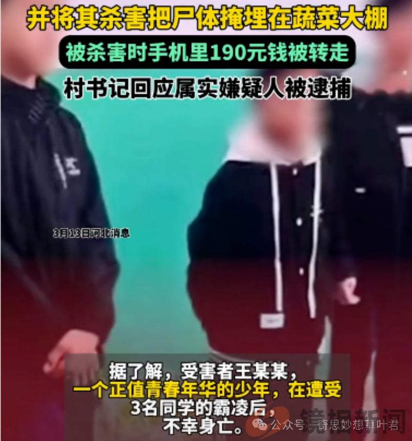 河北3名初中生杀人动机曝光,成了900 多万个家庭的“定时炸弹”(图6) 微信图片_20240317084656.png