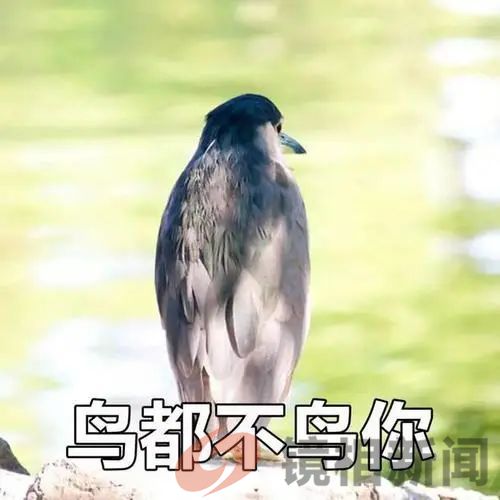 下级不卖上级帐,这种畸形的“县官不如现管”,好还是不好?(图8) 微信图片_20240318143853.jpg