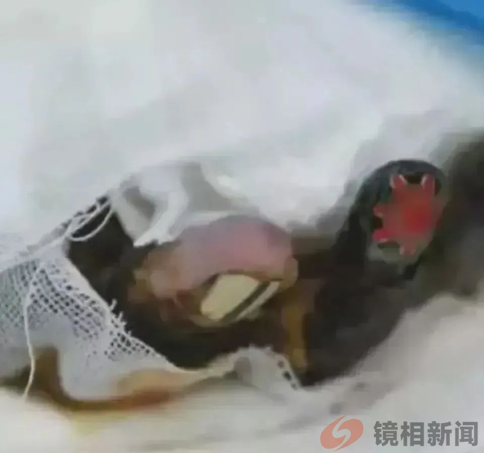 盘点震惊全国的十大未成年刑事案件(图6) 微信图片_20240320001126.jpg