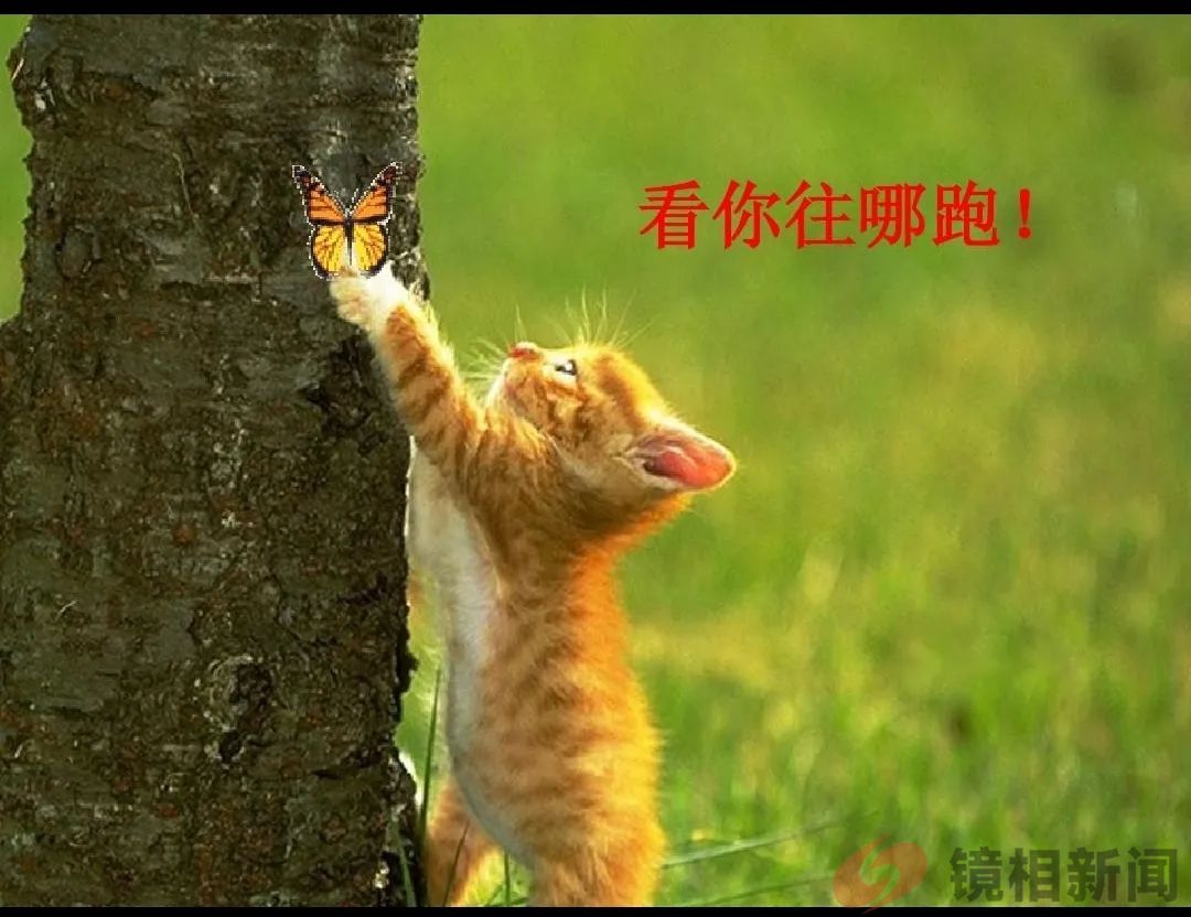 你想“火”,没门!恩施州政府公开“打压”8家疑“火”单位! 原创 周大开 天涯新观察 2024-03-25 11:34 海南(图5) 微信图片_20240325221812.jpg