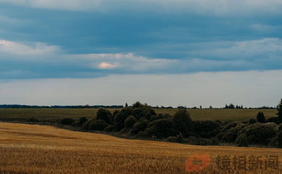 央视曝光：光伏侵占农田，农田保护和绿色发展如何平衡？