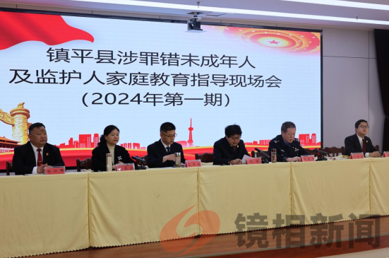 “家”庭指导 “育”见未来|镇平县法院参加涉罪错未成年人及其监护人家庭教育指导现场会