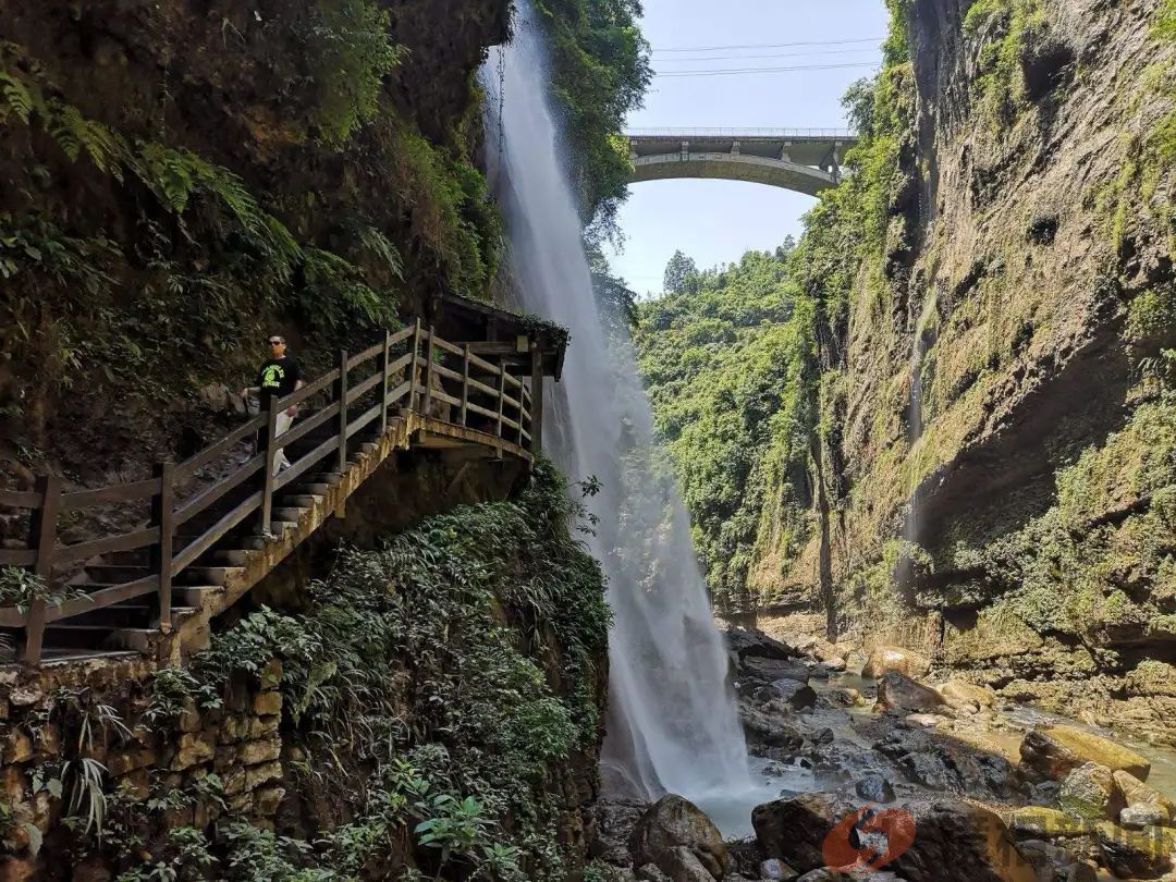 湖北省15个“冠军”,恩施州竟然“霸占”3个!(图11) 微信图片_20240331084847.jpg