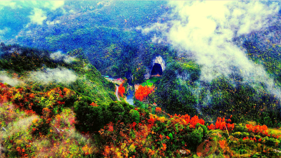 湖北省15个“冠军”,恩施州竟然“霸占”3个!(图14) 微信图片_20240331084908.png