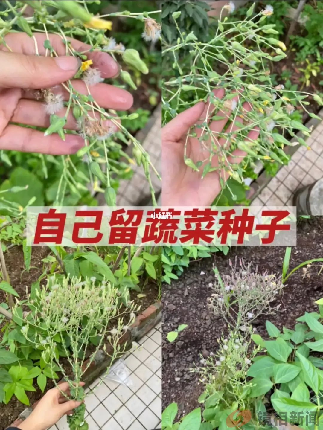 这往后,残疾人生育,难不成卫健委(局)也要状告其侵权?(图7) 微信图片_20240401174059.jpg