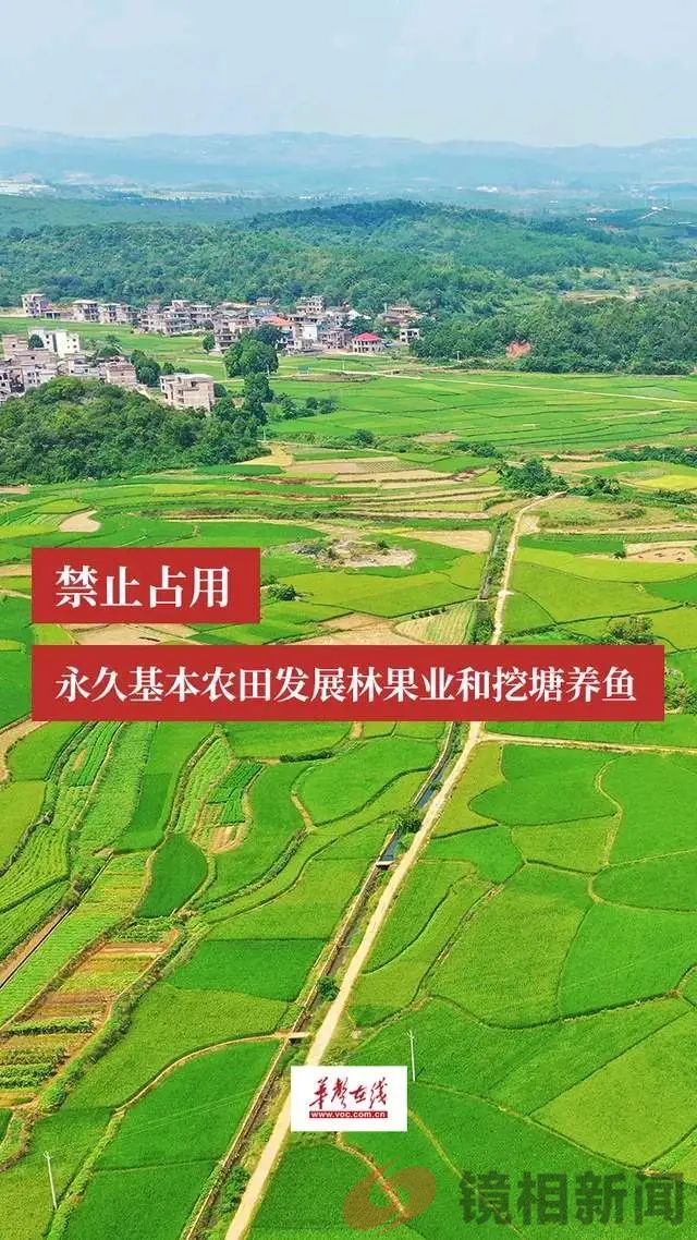央视曝光的湖北安陆市,“改天”又“换地”,俨然成了“梁山伯”(图8) 微信图片_20240402130307.jpg