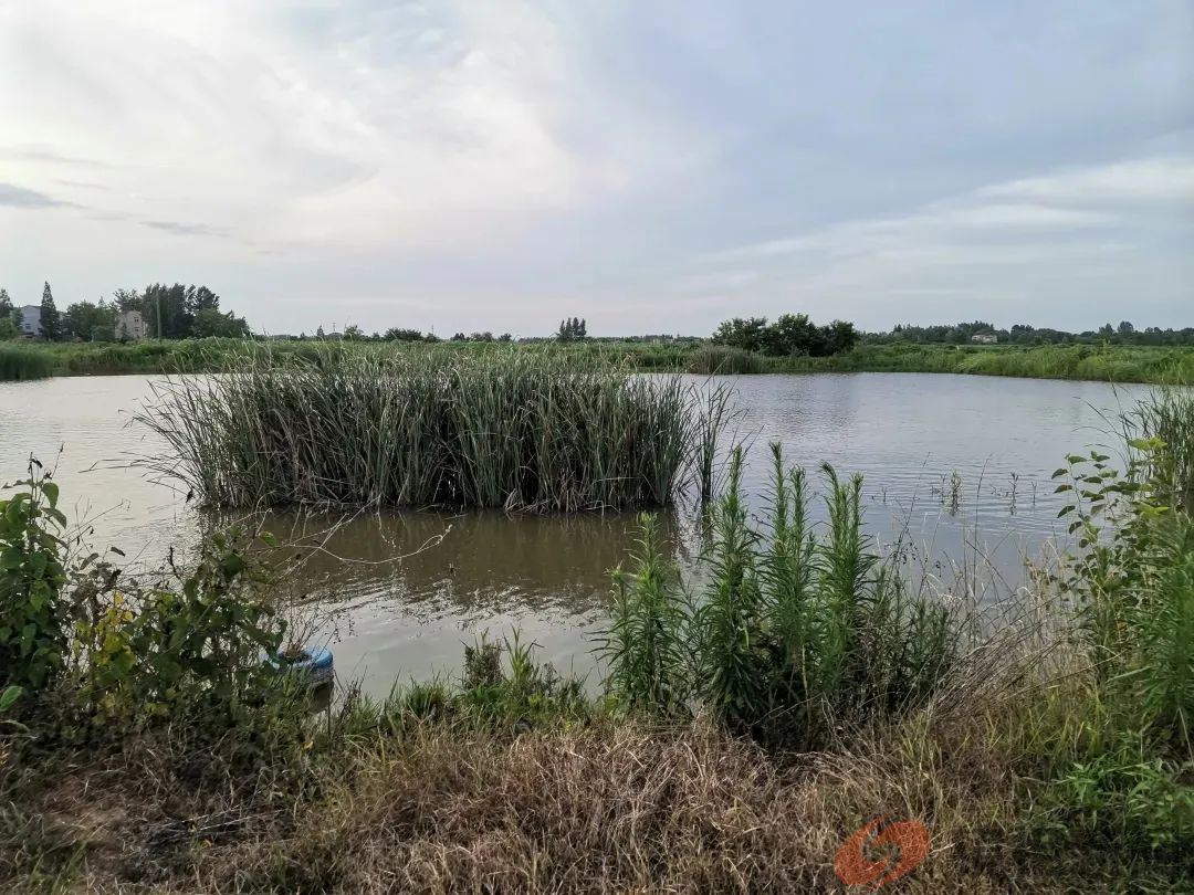 央视曝光的湖北安陆市,“改天”又“换地”,俨然成了“梁山伯”(图10) 微信图片_20240402130339.jpg