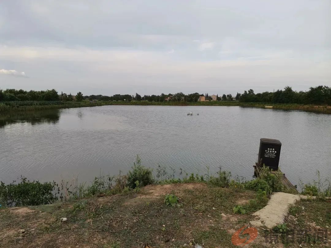 央视曝光的湖北安陆市，“改天”又“换地”，俨然成了“梁山伯”