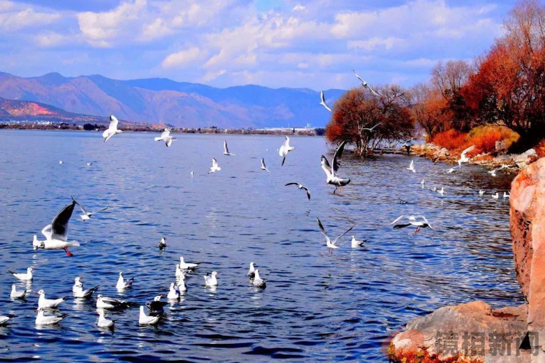 云南大理行之“五好一憾”(图6) 微信图片_20240501153921.jpg