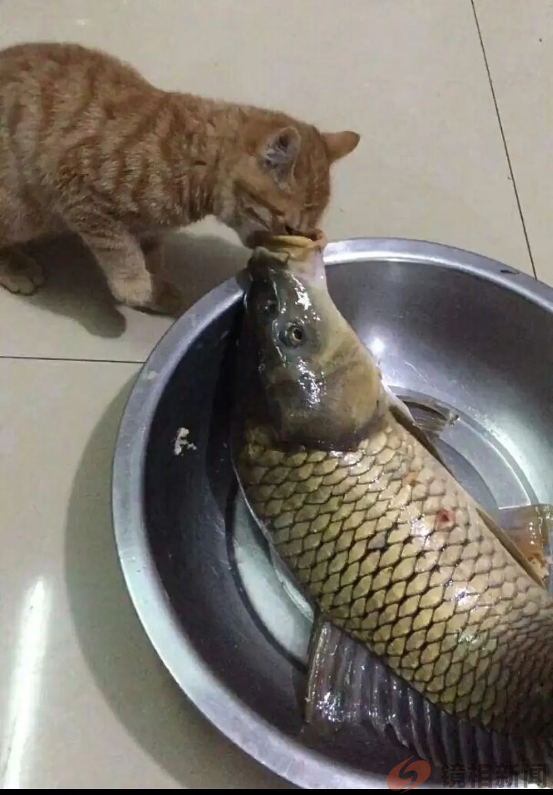 贵州奇案:农妇“强奸”,疑是比窦娥还冤?!(图30) 微信图片_20240517103315.jpg