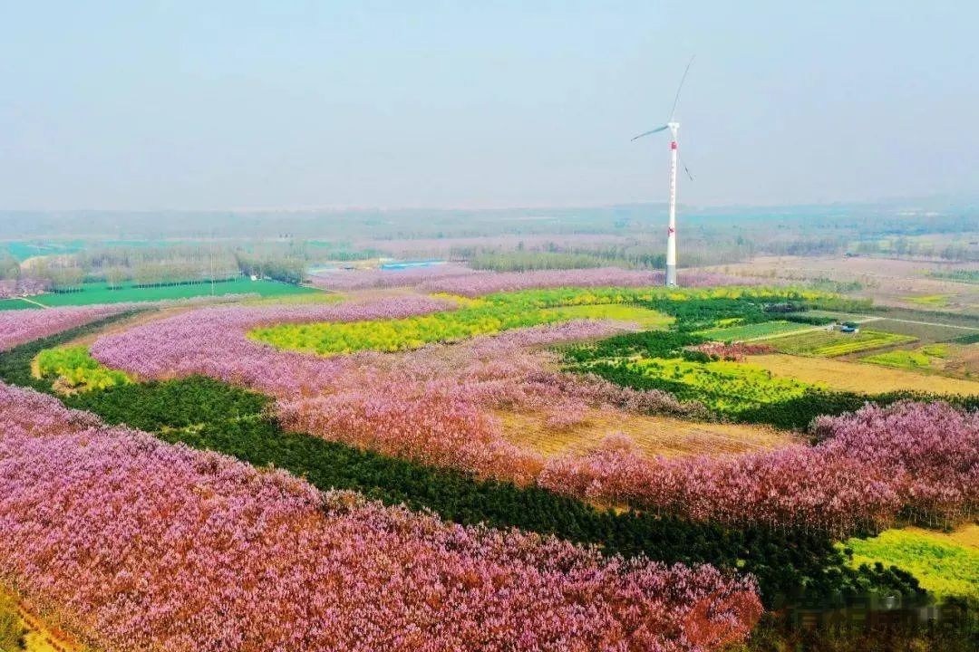 是兰考县没有“刁民”,还是兰考县法院有啥高招?(图3) 微信图片_20240626153414.jpg