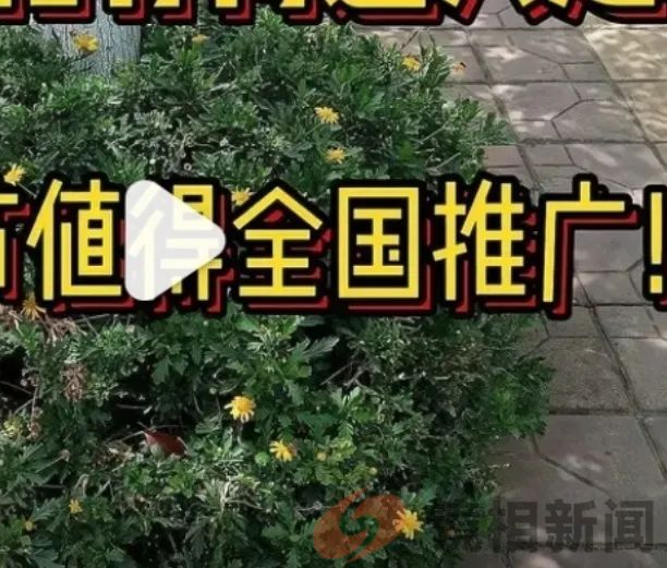 是兰考县没有“刁民”,还是兰考县法院有啥高招?(图11) 微信图片_20240626153523.jpg