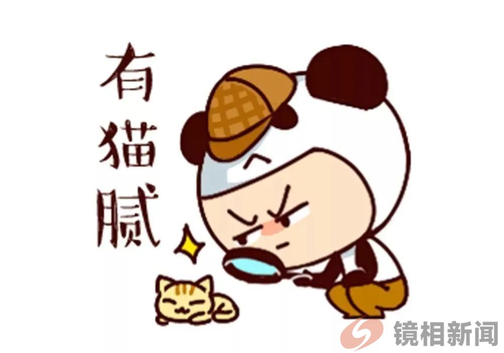 83岁奶奶辱骂法官三小时被罚万元,八个疑问 问问法院(图5) 微信图片_20240823202043.jpg