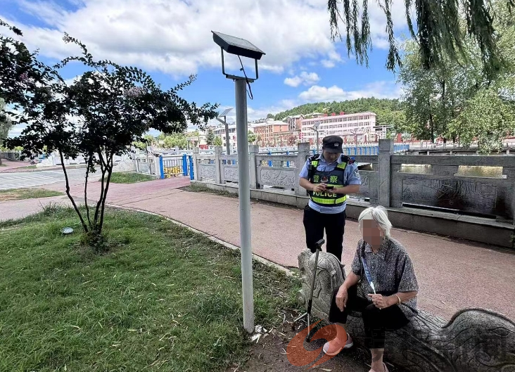 河南南阳桐柏县公安局:警徽闪耀护民安 温情救助暖心田(图2)