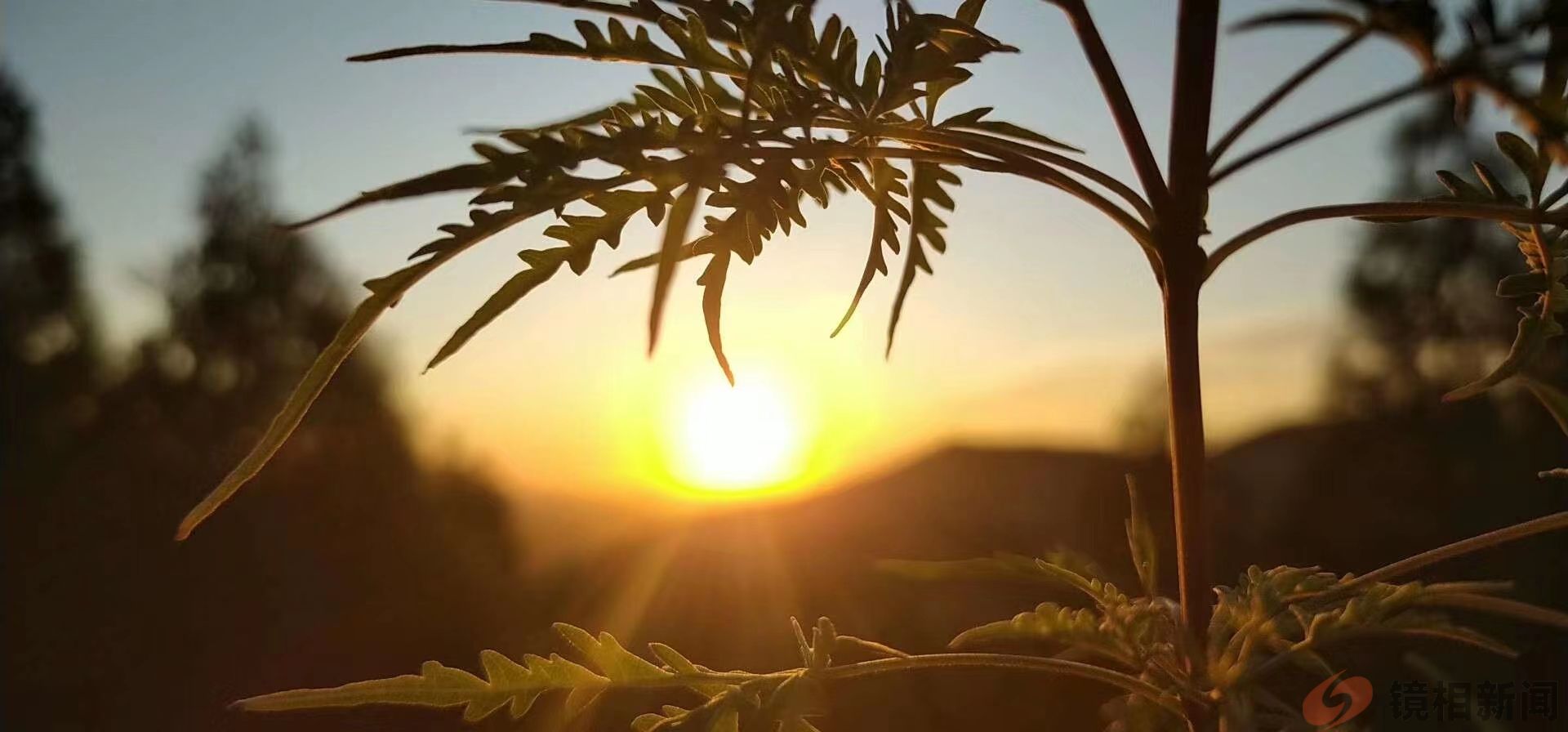 河南南阳桐柏县检察院：检察温情护航未成年人心理健康