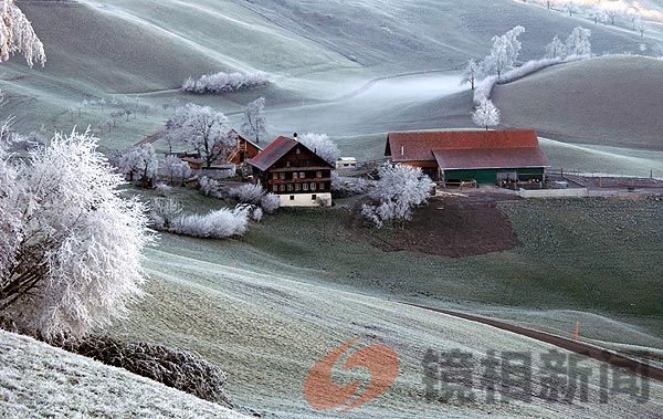 <strong>喀什陕西商会：助力企业发展，推动地方经济</strong>