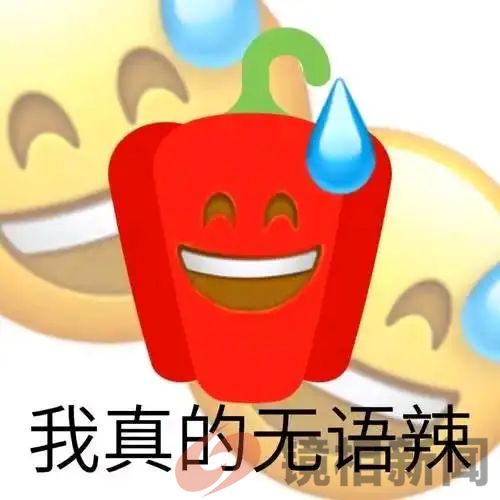 海南奇事:政府公章可乱盖?(图5) 微信图片_20241118154546.jpg