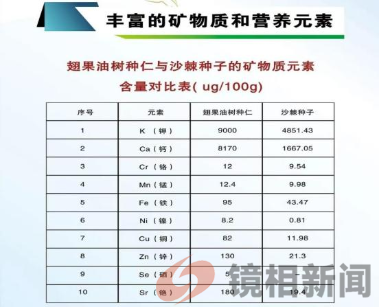 三门峡市中药材学会深入到崤庐生物科技农业发展有限公司、林鑫康旅翅果油树基地参观考察