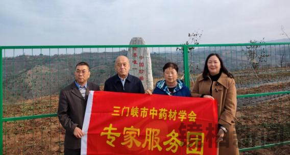 三门峡市中药材学会深入到崤庐生物科技农业发展有限公司、林鑫康旅翅果油树基地参观考察(图2) 图片1.png