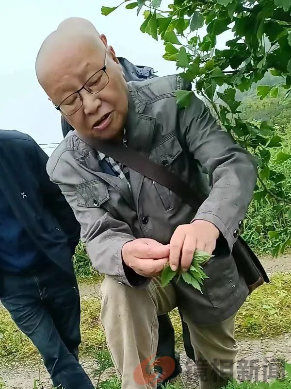 七十老翁被任命为湖北“主席”,疑是“夺权”,还是事出有因?(图3) 微信图片_20241206122407.jpg