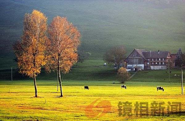 <strong>河南太康清集邓于台村“支书一家亲”被指“</strong>