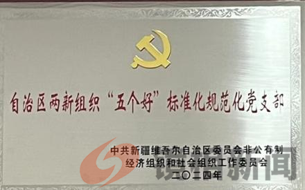 喀什河南商会党支部荣膺自治区两新组织"五个好"党支部称号(图2) 图片1.png