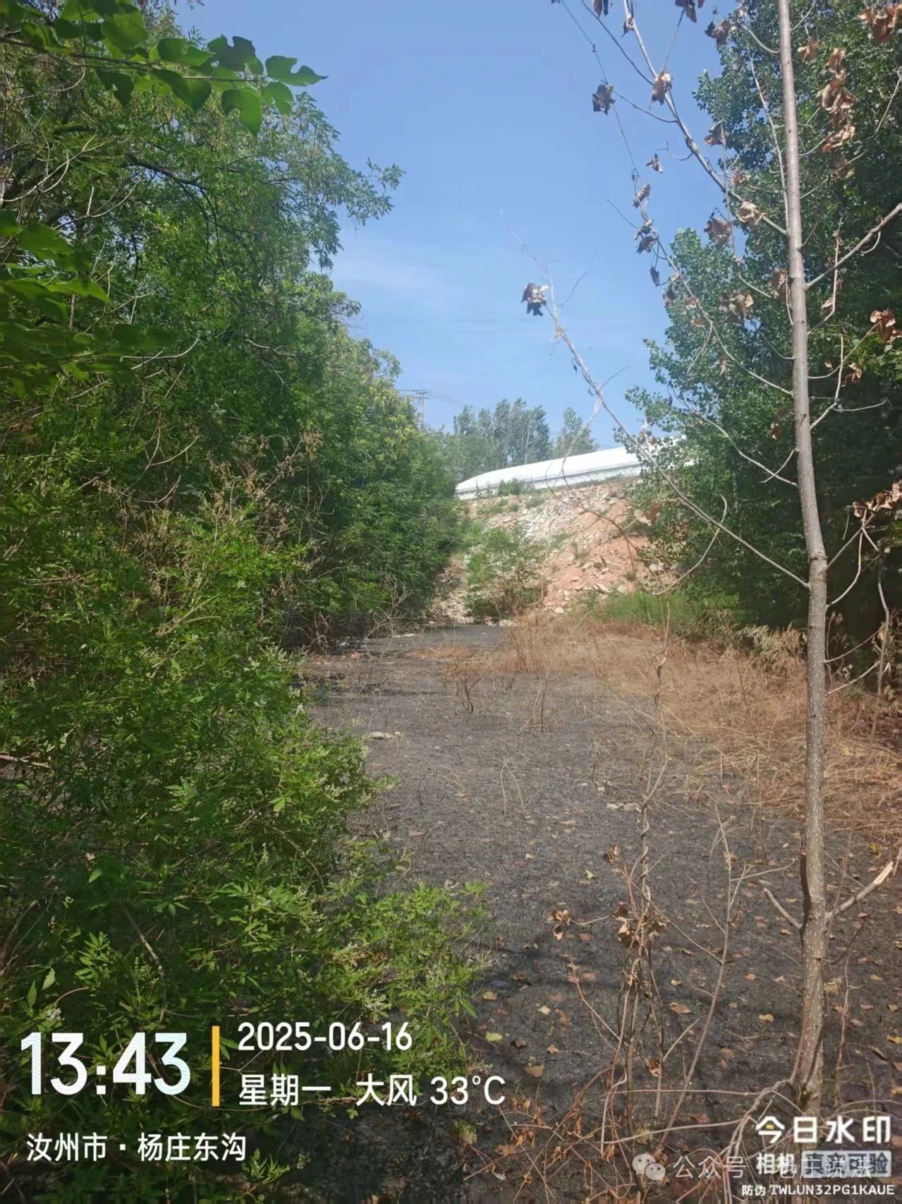 <strong>河南省汝州市陵头镇申坡村(村官)违建猪厂</strong>