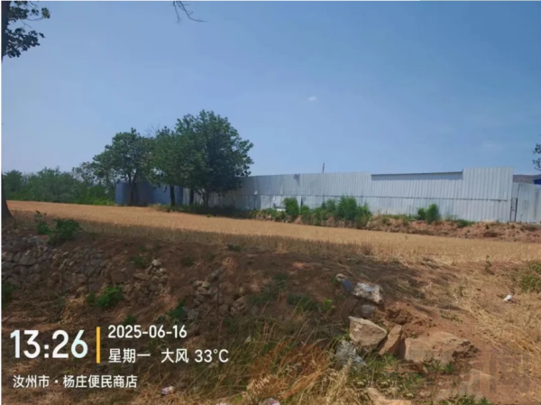 河南省汝州市陵头镇申坡村(村官)违建猪厂无人管、百姓苦不堪言(图1) 01.png