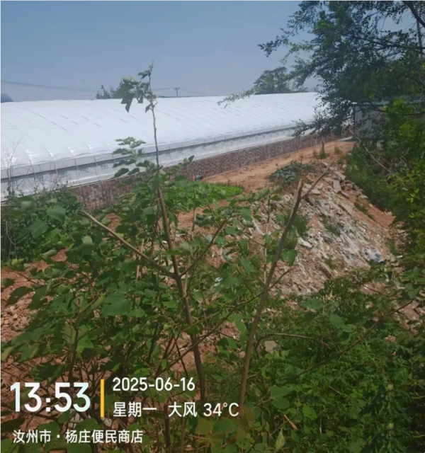 河南省汝州市陵头镇申坡村(村官)违建猪厂无人管、百姓苦不堪言(图2) 02.png