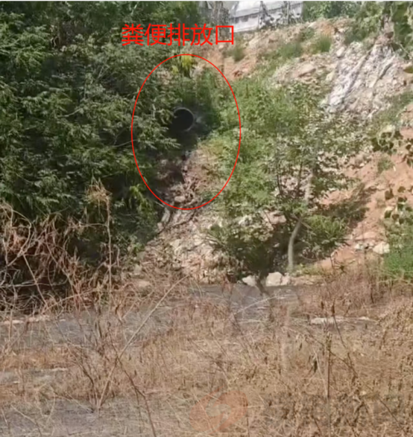 河南省汝州市陵头镇申坡村(村官)违建猪厂无人管、百姓苦不堪言(图5) 05.png