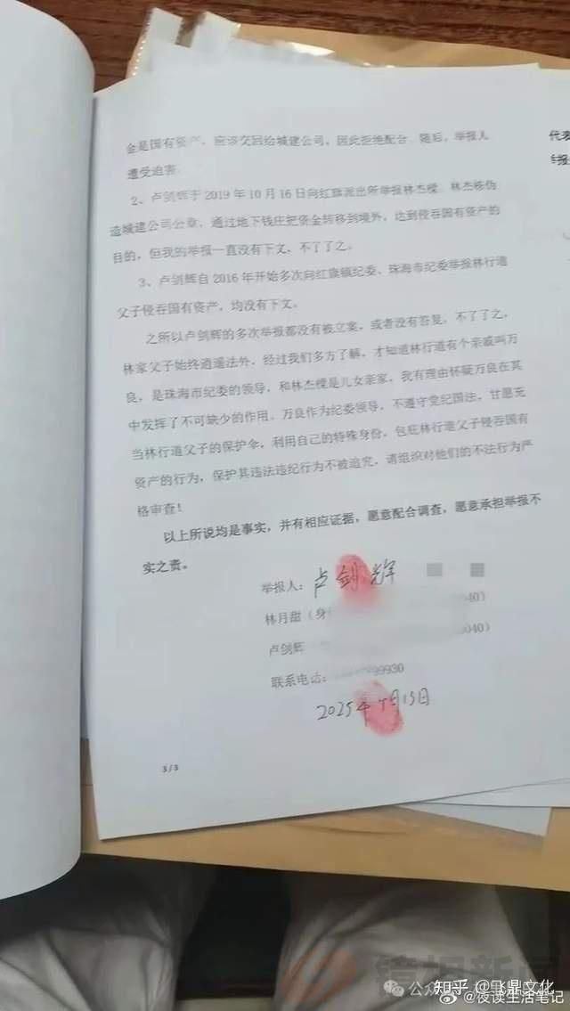 退休五年后,“内鬼”万良,主动投案!(图3)