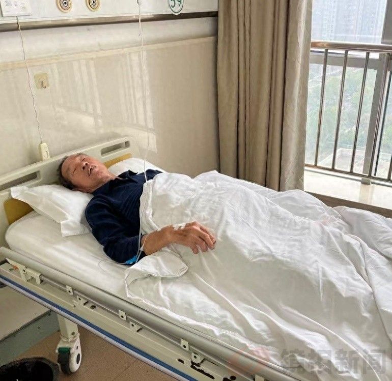 菜棚废墟上的法治拷问：七旬老人与强拆机器的对决