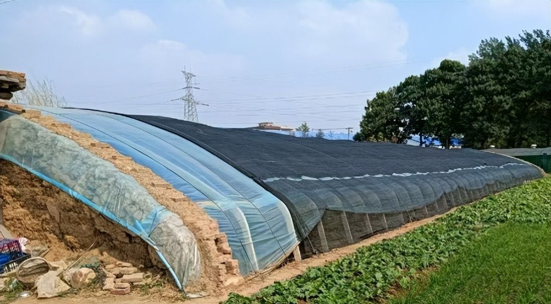 菜棚废墟上的法治拷问:七旬老人与强拆机器的对决(图3)