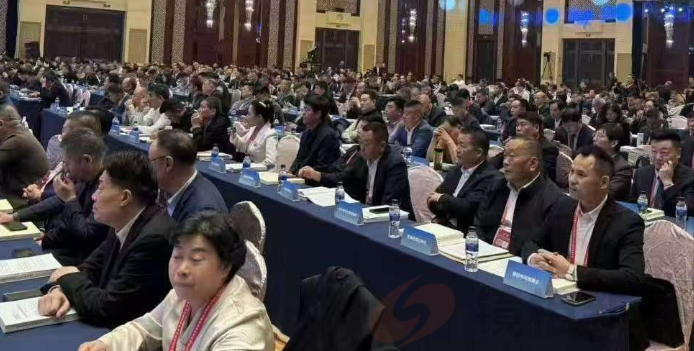 喀什河南商会会长彭春辉斩获2025海内外豫商“优秀会长”殊荣(图3) 微信图片_20251012132908.png