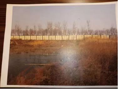 <strong>先“招商”整治沼泽地 见效后再收回 天津</strong>