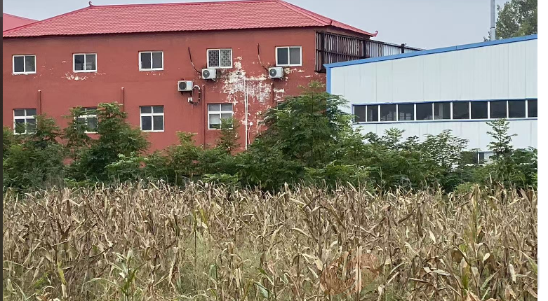 漯河市源汇区一农民铲掉麦苗占用百余亩耕地建厂房, 自然资源和规划局仍无回应(图2) 微信图片_20251102155011.png