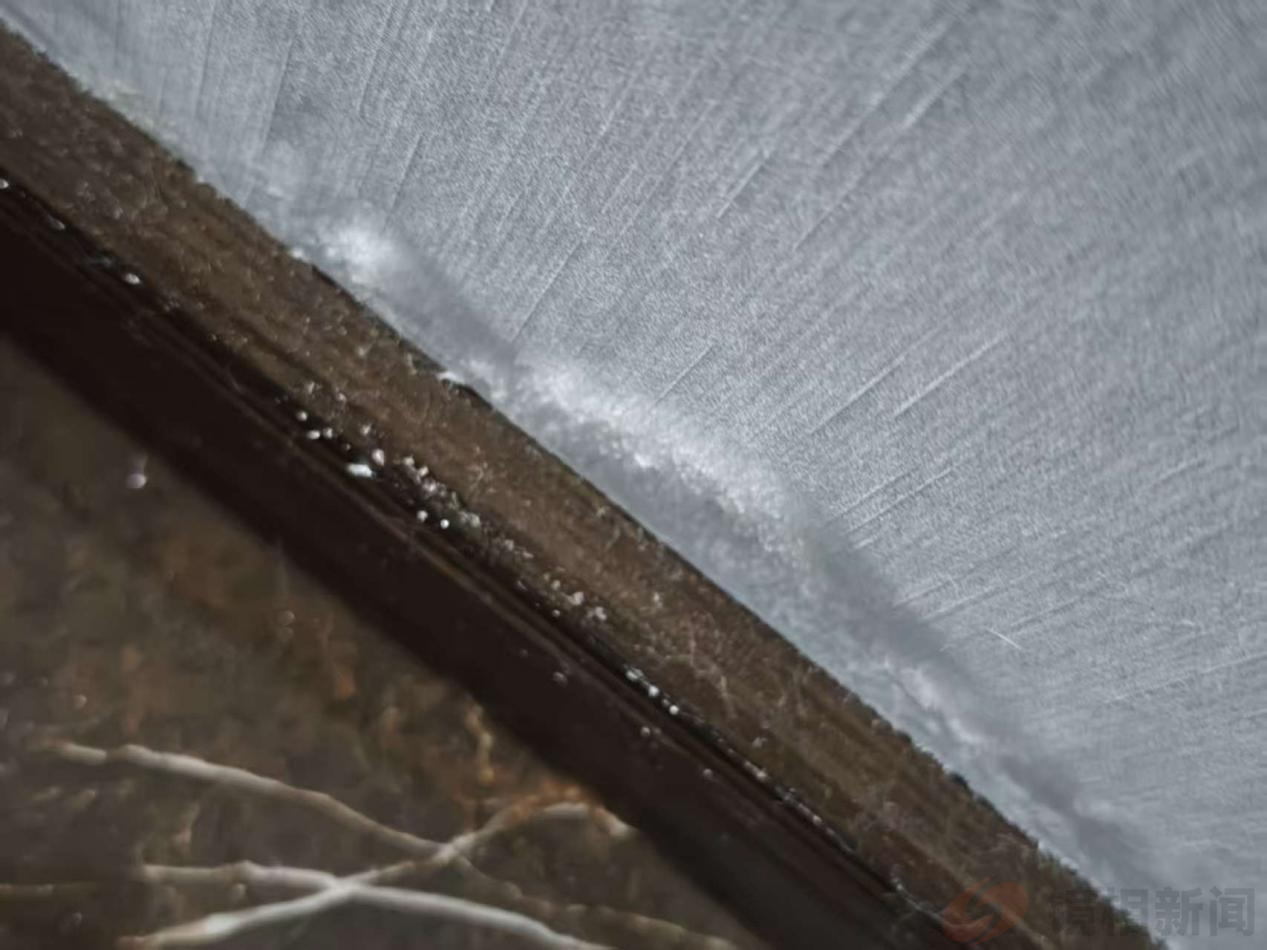 河南漯河:长申玉小区房屋设计不合理,质量不达标,物业不负责,遭遇多名业主投诉(图3)