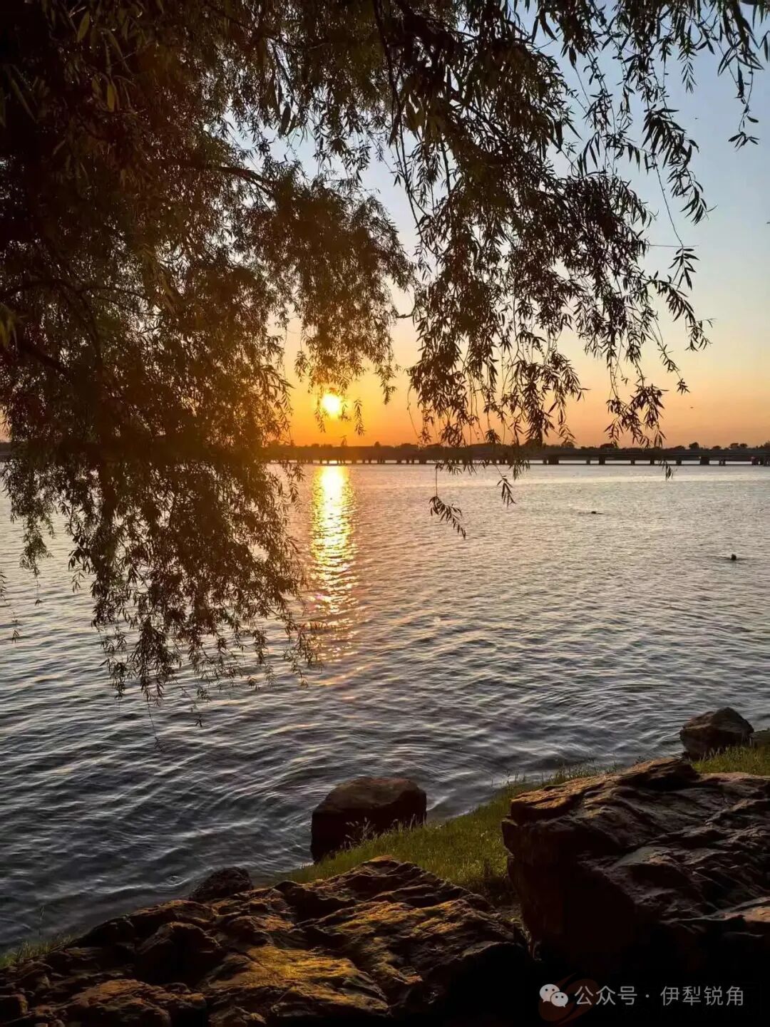 <strong>锐角散文】孙志福 ll沈阳丁香湖畔藏玄机</strong>